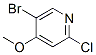 5--2-4-ऽYʽ_880870-13-3Yʽ