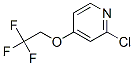 2--4-(2,2,2-)-ऽY(ji)(gu)ʽ_885277-01-0Y(ji)(gu)ʽ