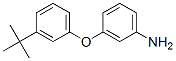3-(3-嶡)-Y(ji)(gu)ʽ_887579-79-5Y(ji)(gu)ʽ