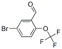 5--2-()ȩYʽ_923281-52-1Yʽ
