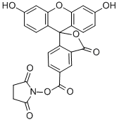 5-ȻɹY(ji)(gu)ʽ_92557-80-7Y(ji)(gu)ʽ