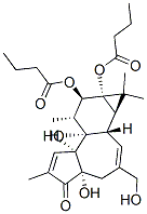 4Alpha--12,13-p}Y(ji)(gu)ʽ_93781-54-5Y(ji)(gu)ʽ