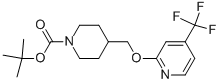 4-[[[4-(׻)-2-ऻ]]׻]-1--1,1-׻Y(ji)(gu)ʽ_954229-96-0Y(ji)(gu)ʽ
