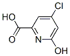 4--6-u-2-Y(ji)(gu)ʽ_959244-16-7Y(ji)(gu)ʽ